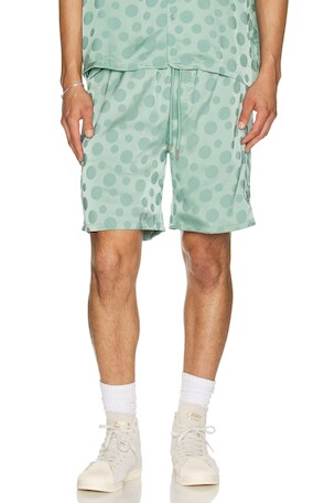 Polka Dot Shorts Honor The Gift