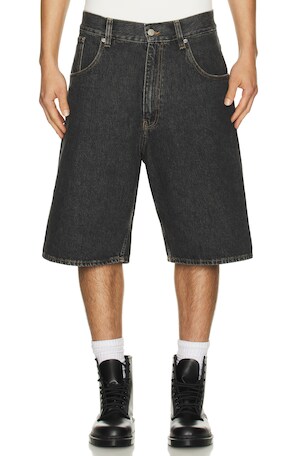 Super Wide Short Sunflower