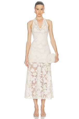 Calypso Cowl Dress AMUR